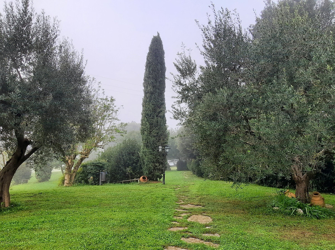 Holiday House Borgo Badia主图