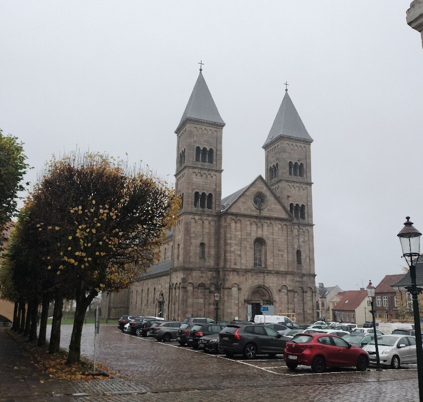 Viborg Domkirke-维堡必去景点