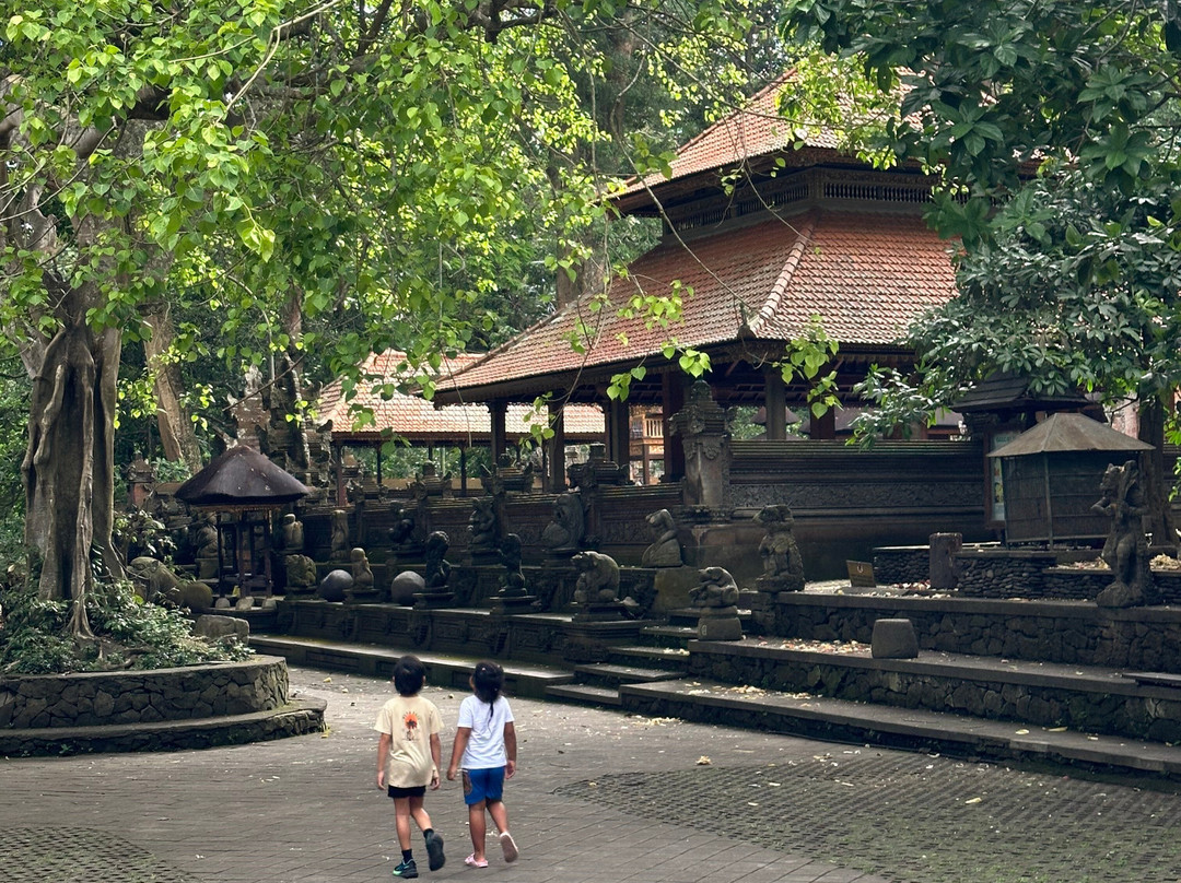 Bali Brother Tour-登巴萨必去景点