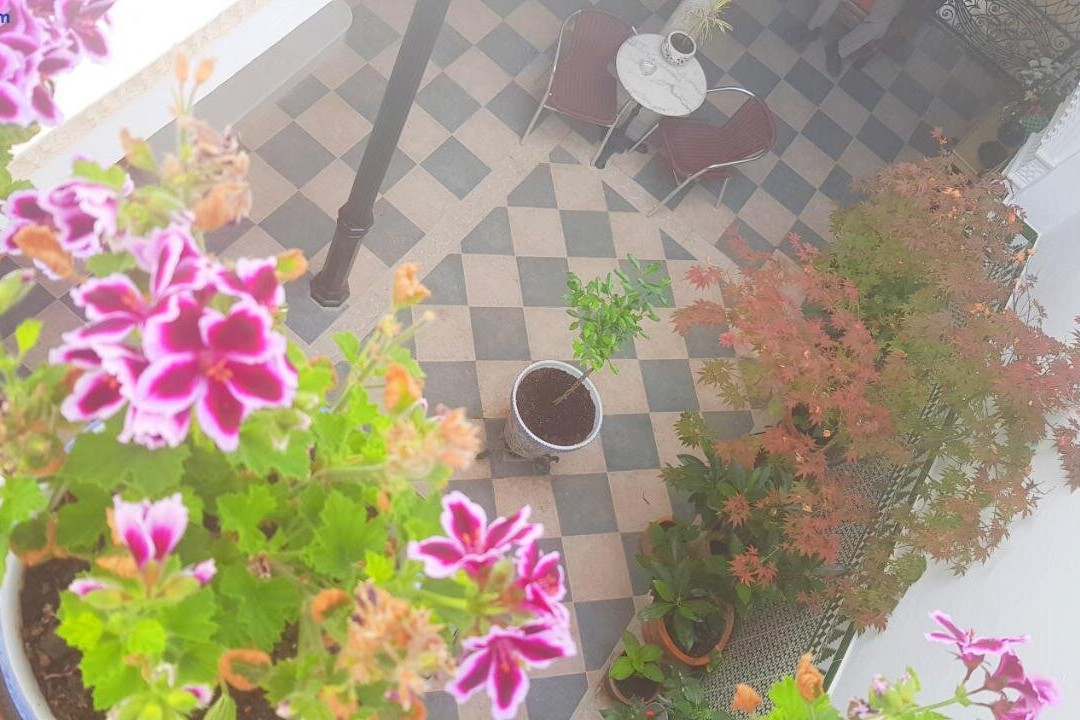 Casa Algarabia