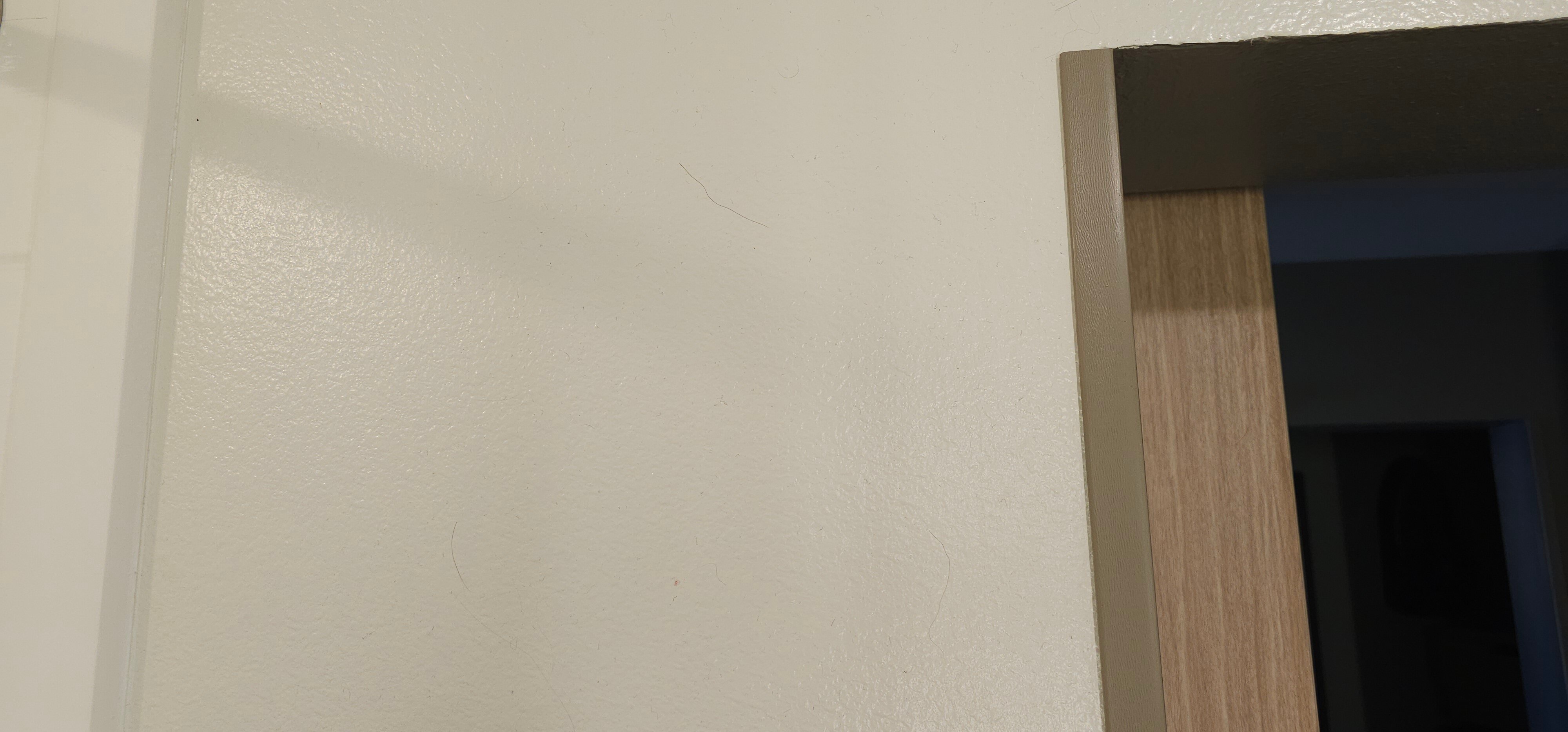 Hilton Garden Inn Longmont-浴室