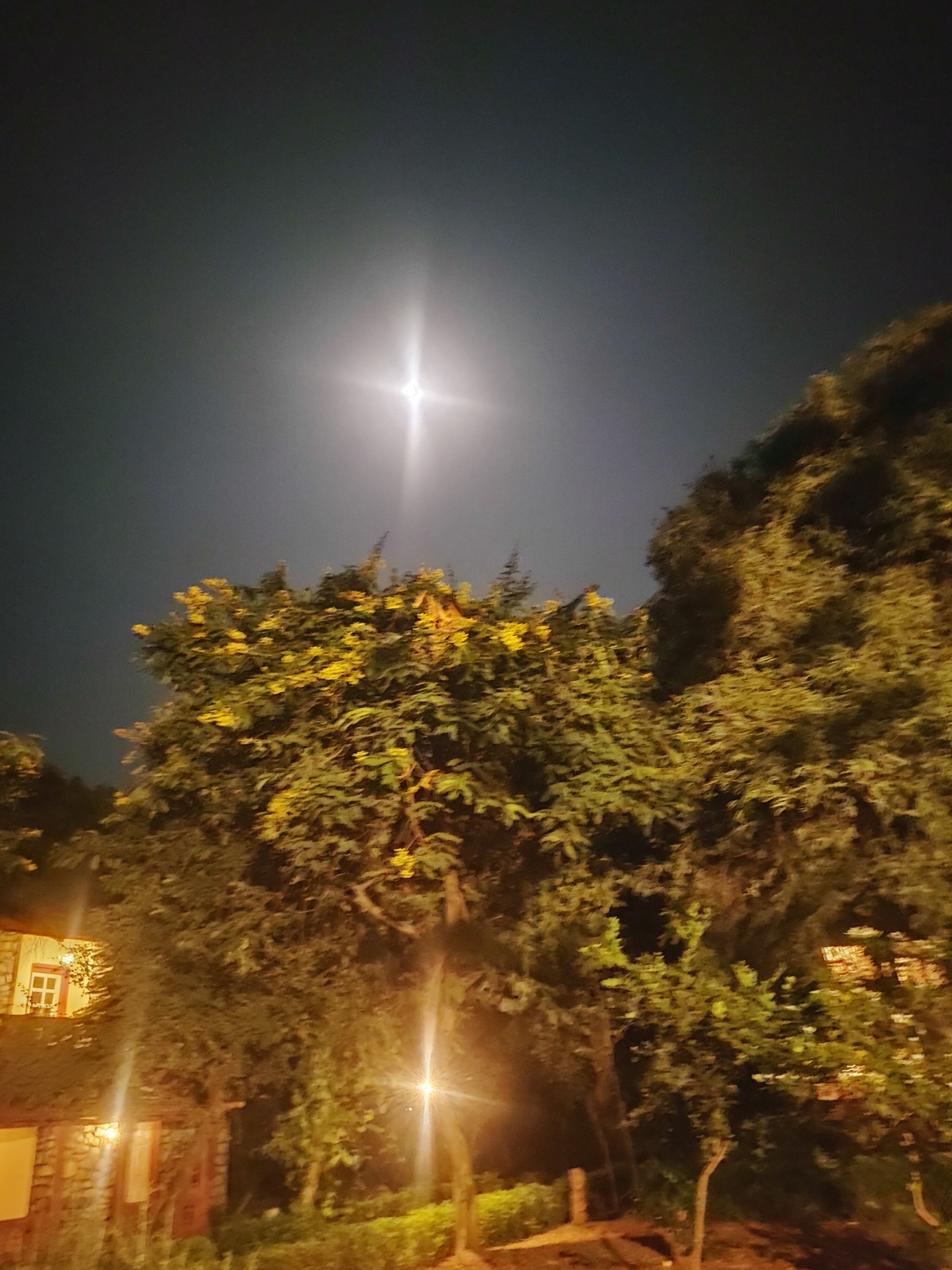 Tiger Moon Resort-酒店景观