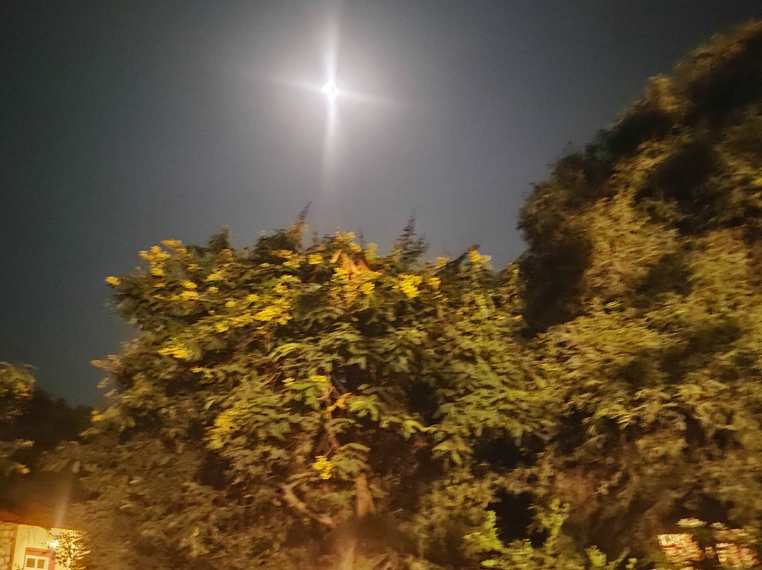 Tiger Moon Resort主图