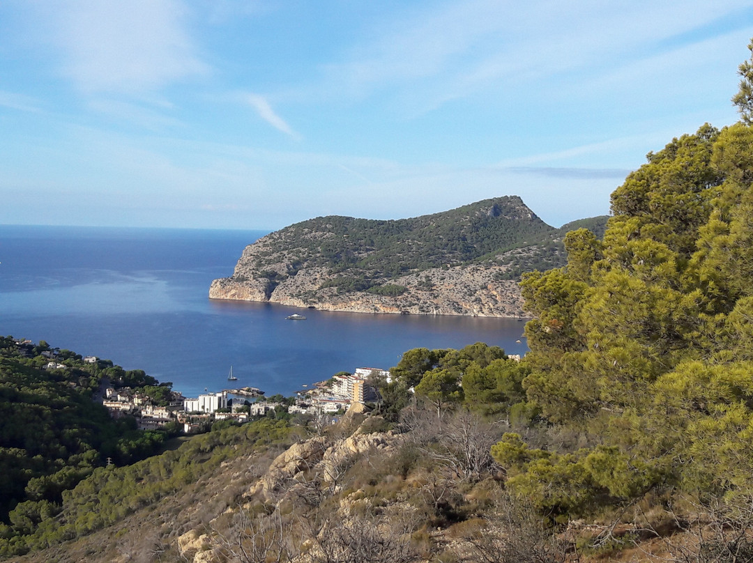 Camp de Mar Beach景点图片