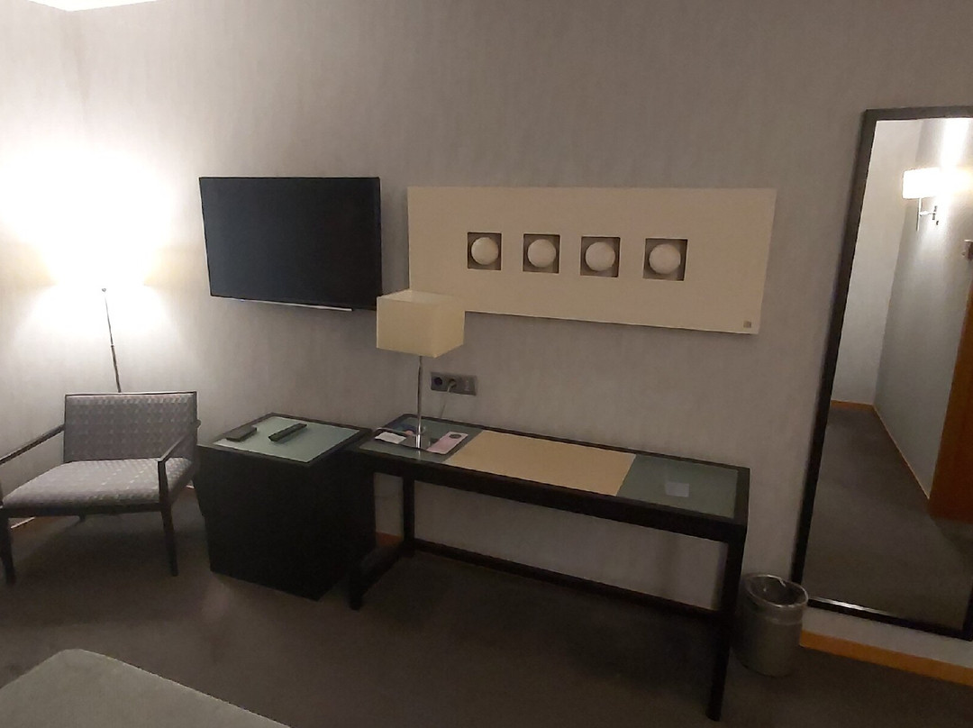 马西亚阿尔罕布拉皇宫酒店主图