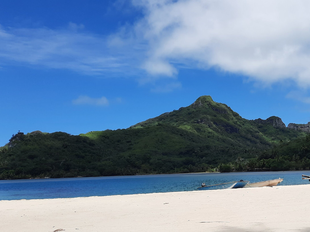 Pension Taputea主图