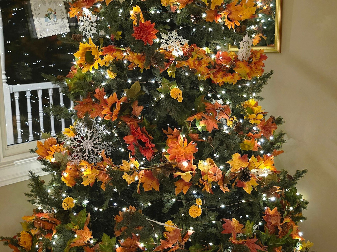 The Snowflake Inn主图