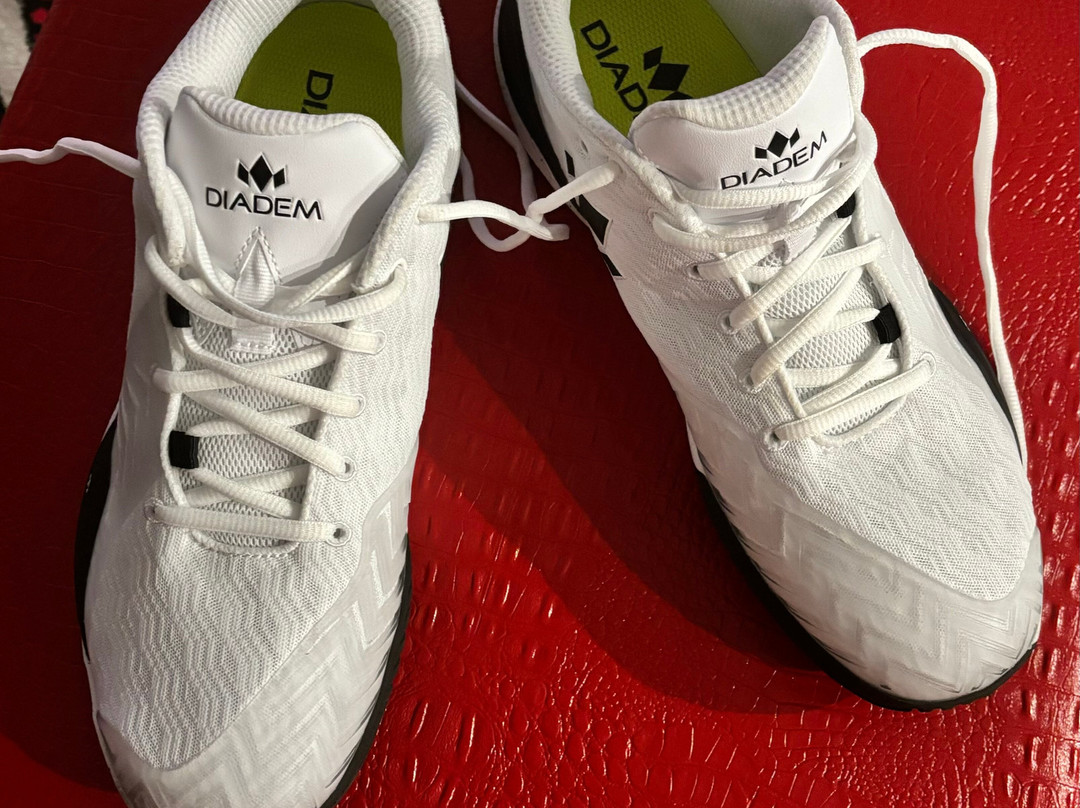 Diadem Pickleball Complex景点图片