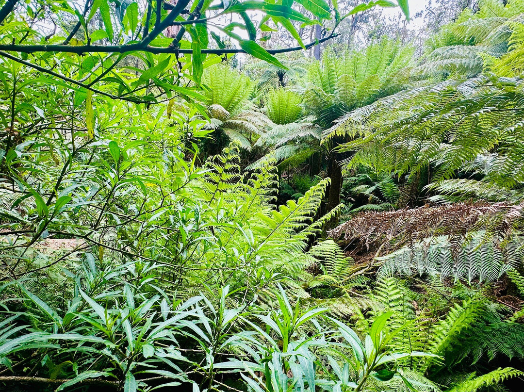 Mount Hypipamee Crater-Herberton必去景点