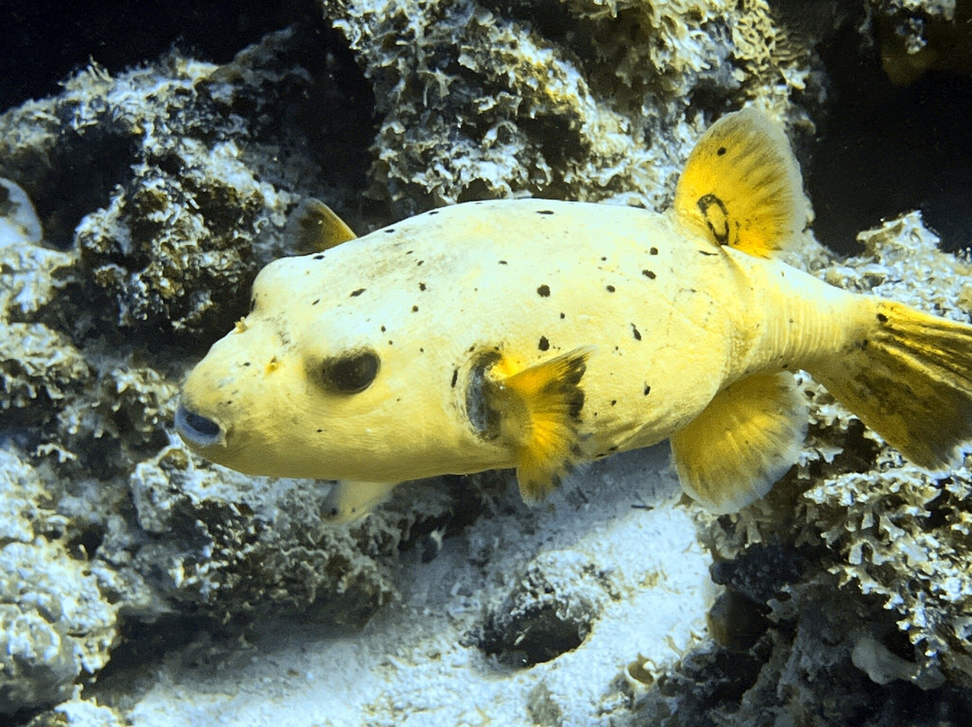 One Ocean-Matemwe必去景点