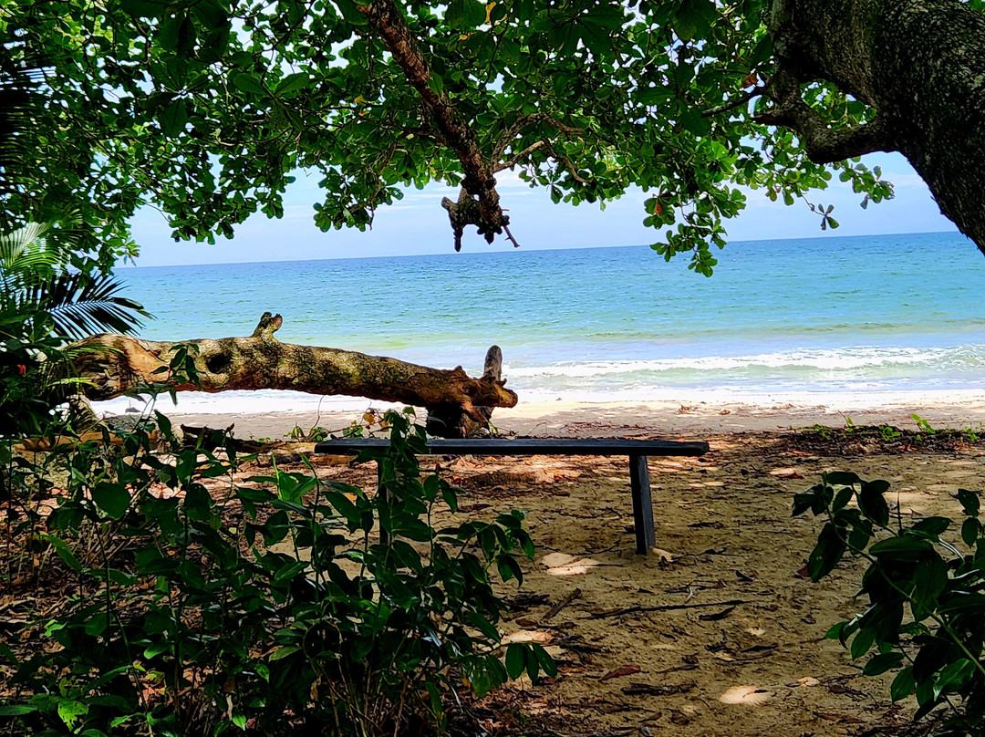 Travel Tropical Tours景点图片