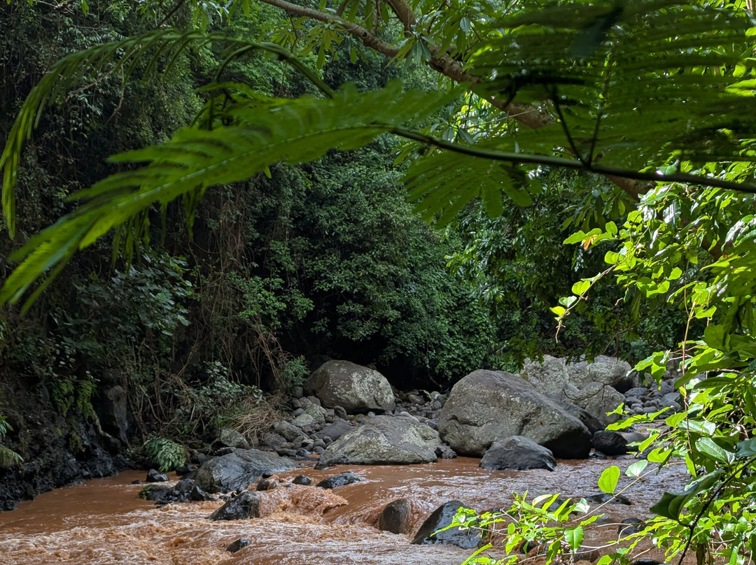 CaveJesus Park-Himo必去景点