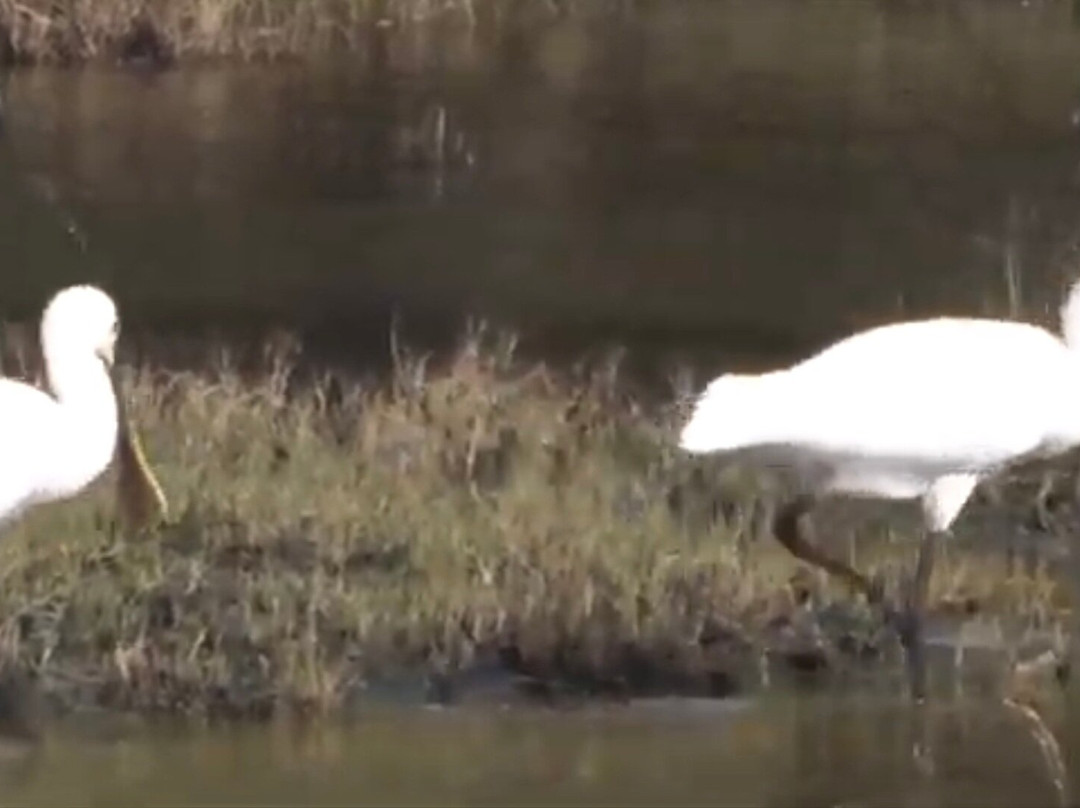 Kumana National Park-Ampara必去景点