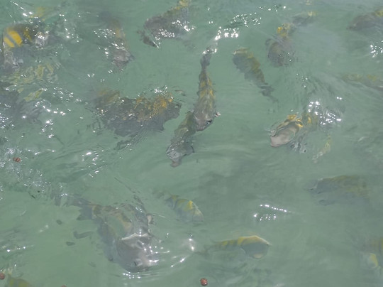 S4 Turismo Maceió-Maceio必去景点