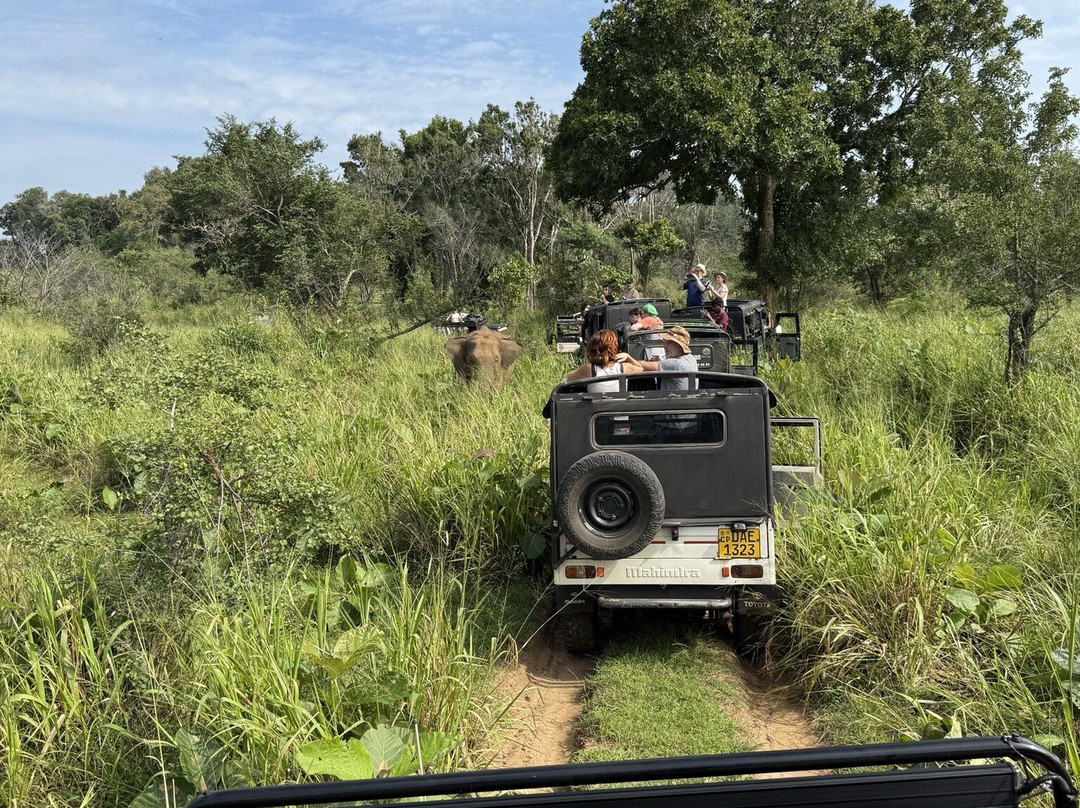 The Nature Safari Sigiriya景点图片
