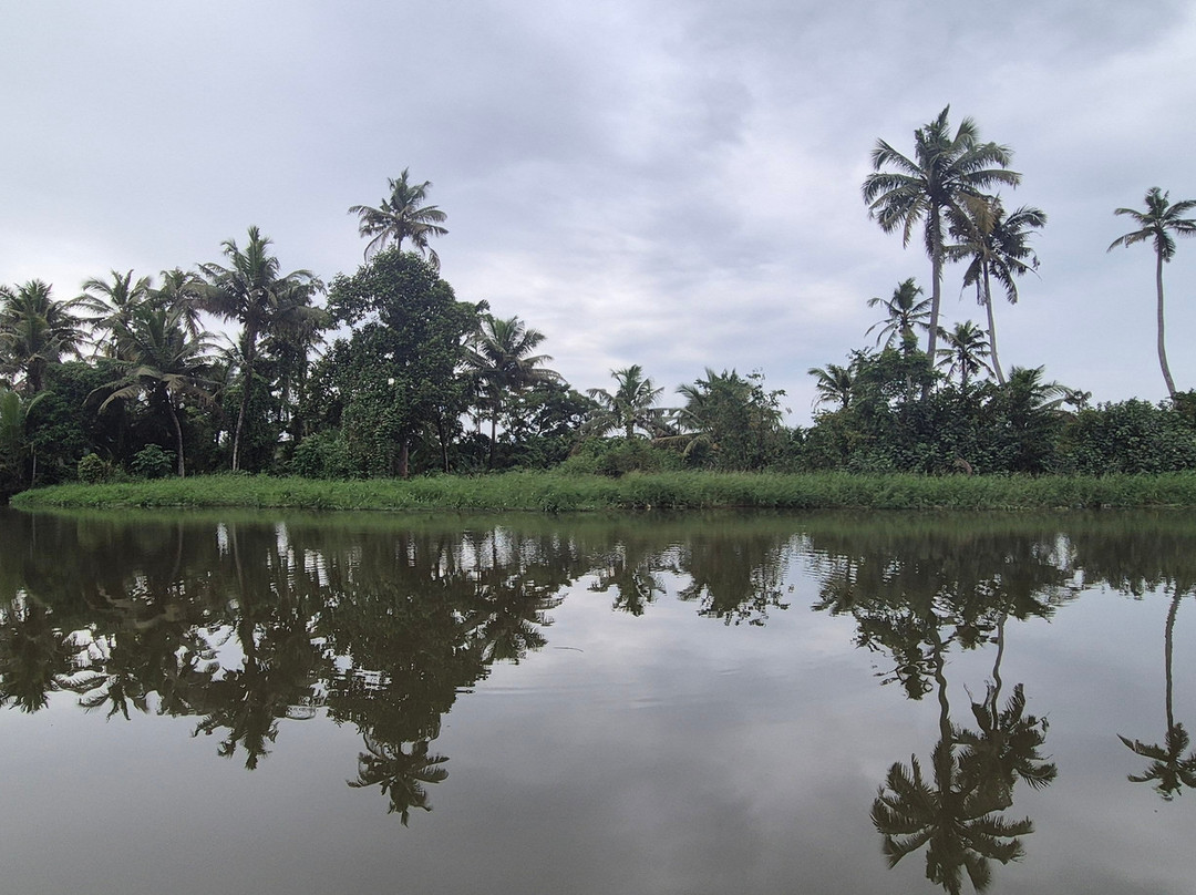 Canoe Kerala景点图片