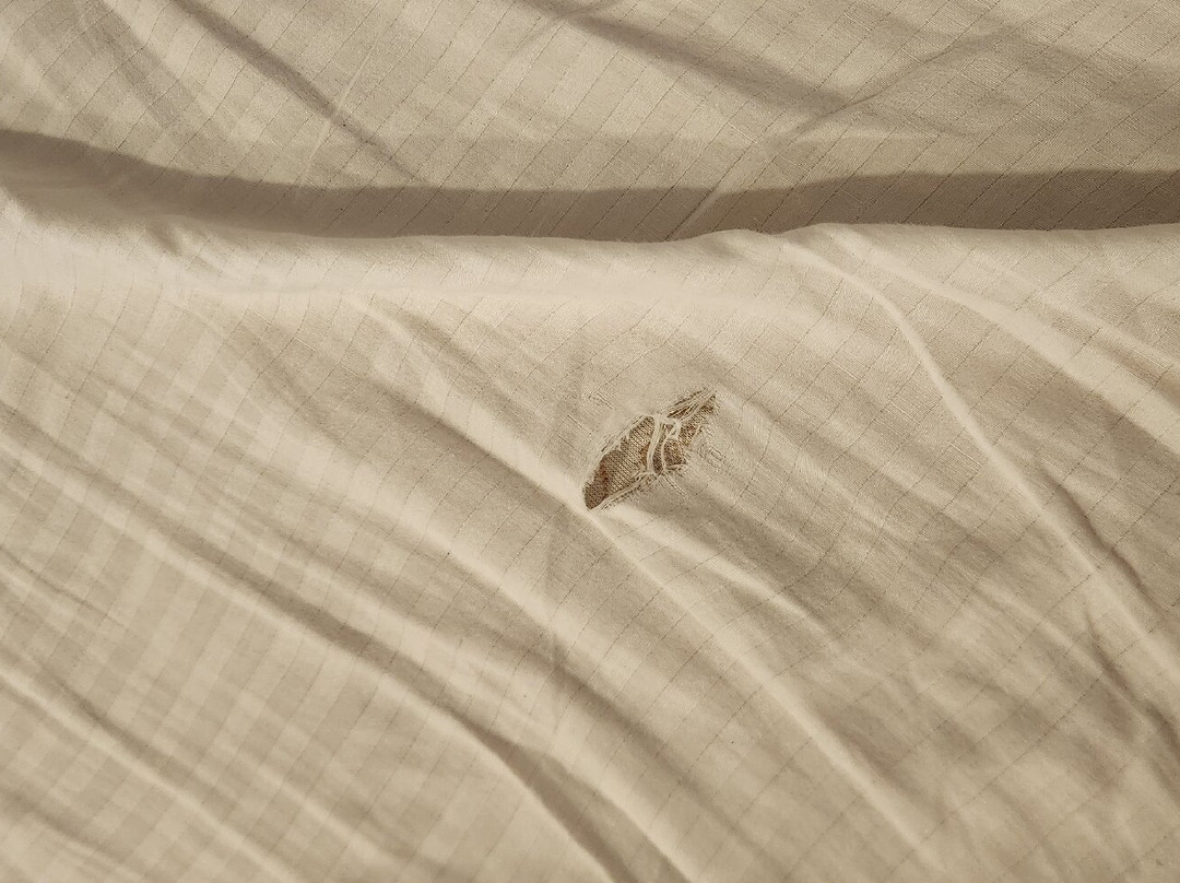 VITS ExcellenSea主图