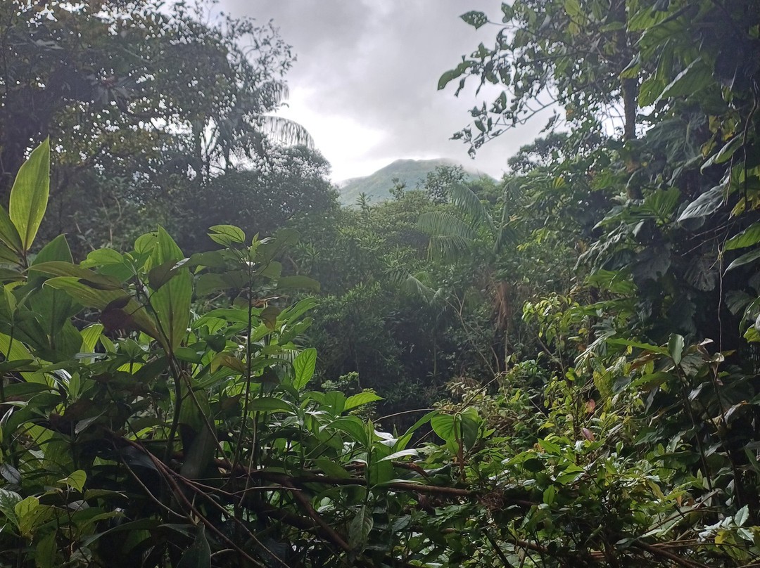 Parque National Volcan Tenorio景点图片