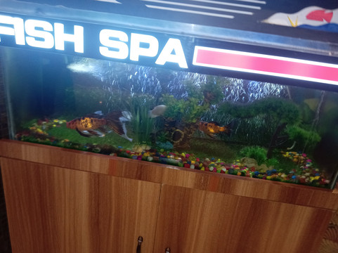 太平绅士财富宫酒店主图