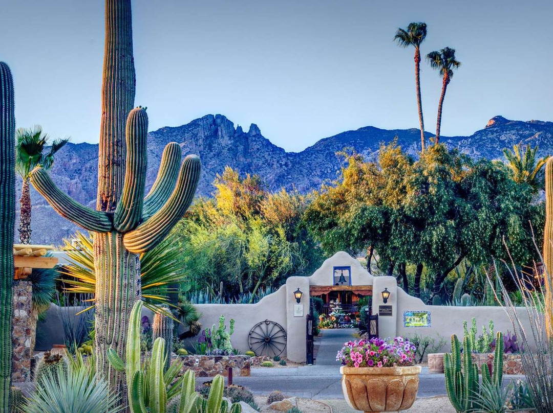 图森酒店住宿-庄园游客牧场度假村