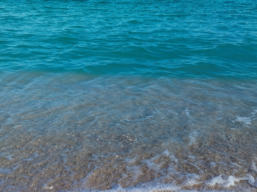 Isla De Enmedio-Boca del Rio必去景点