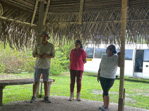 Jacana Tours Heart of Palm tours-希门尼斯港必去景点