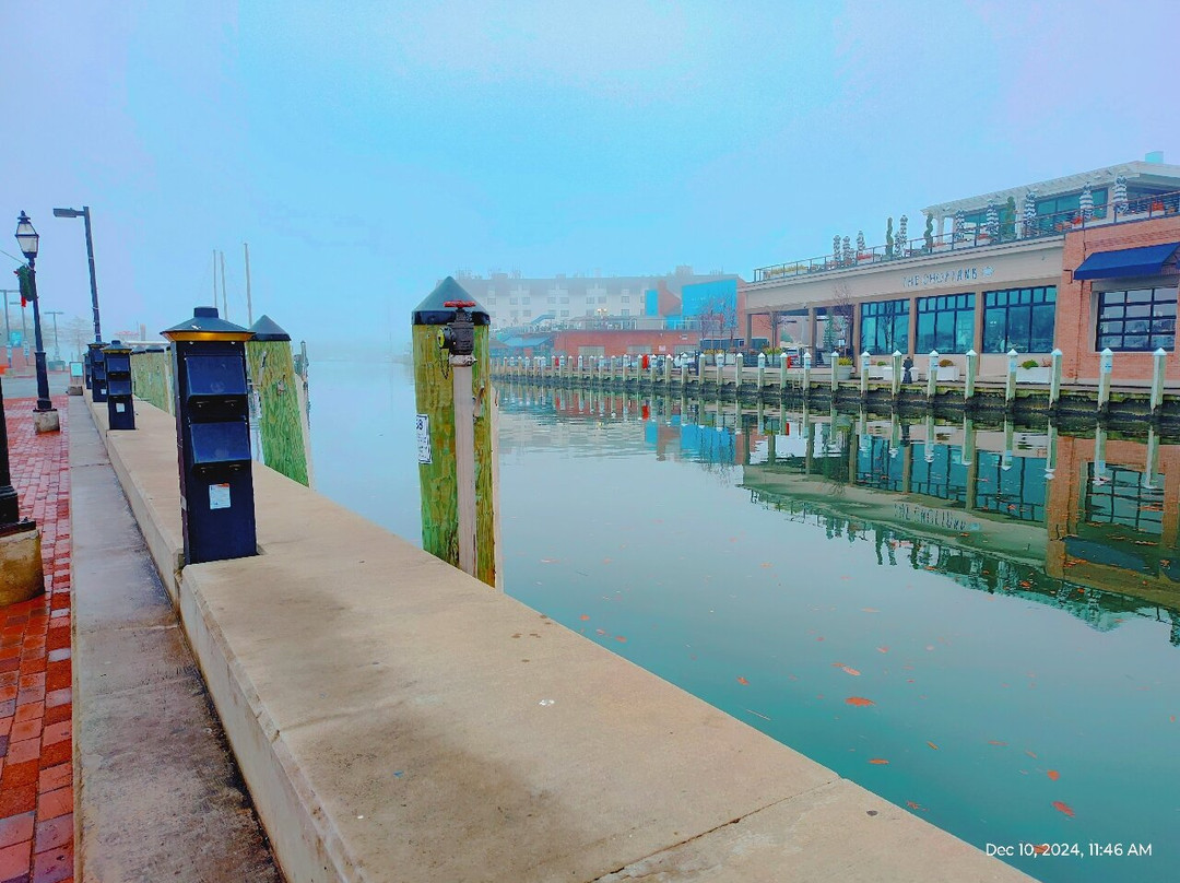 Ego Alley-安纳波利斯必去景点