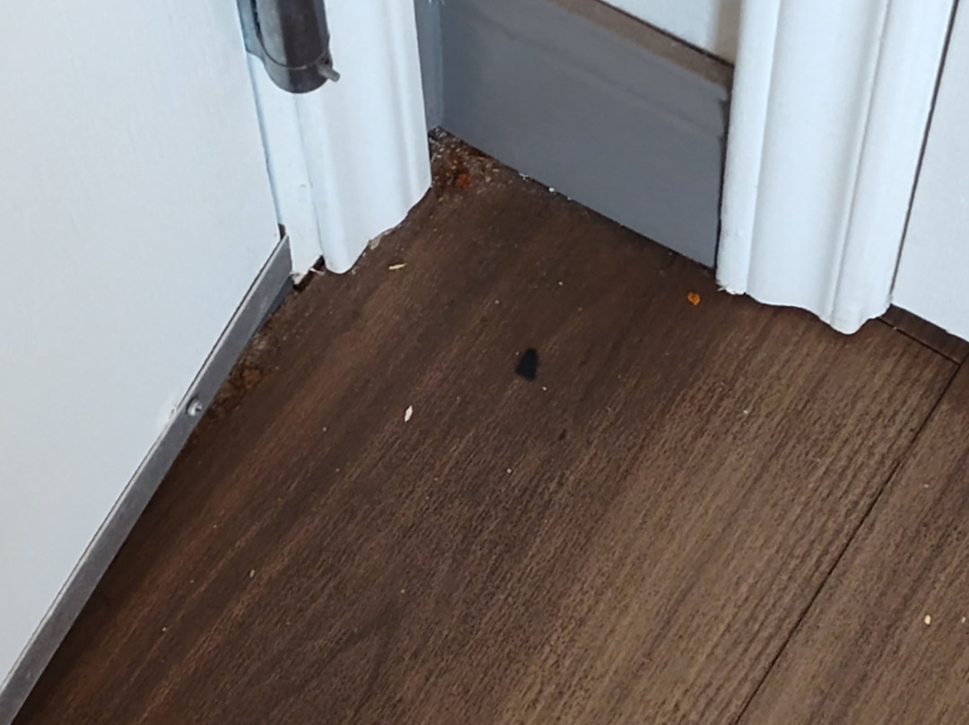 La Quinta Inn & Suites by Wyndham Atlanta Conyers主图