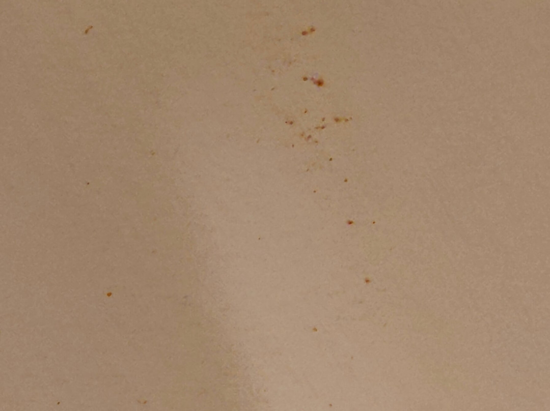 Fairfield Inn Kankakee Bourbonnais主图