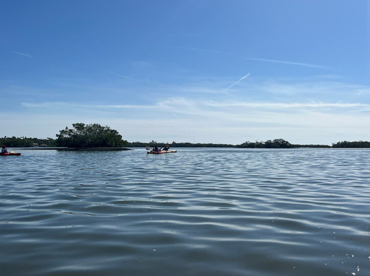 Ride and Paddle By Siesta Sports Rentals-西耶斯塔岛必去景点