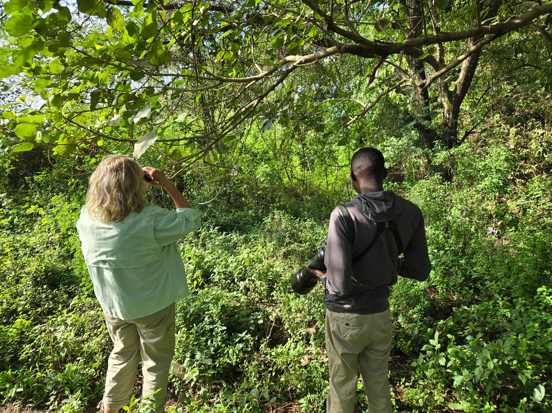 Nungunungu-姆贝亚必去景点