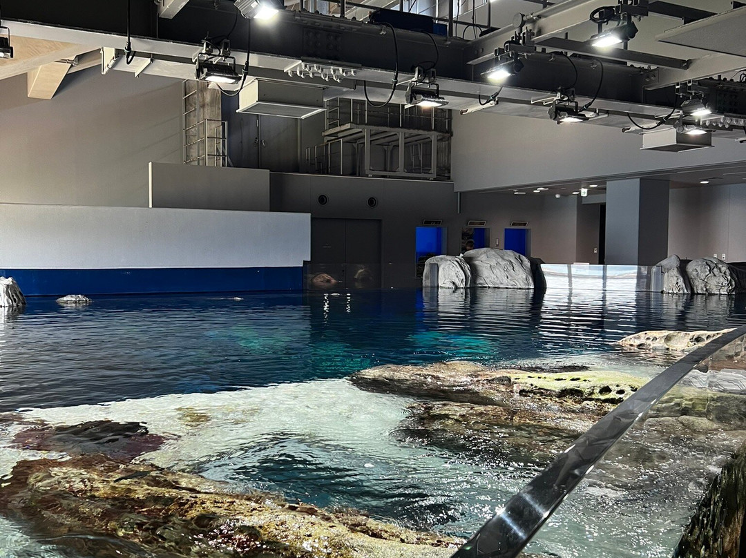 Kochi Prefectural Ashizuri Aquarium Satoumi-土佐清水市必去景点