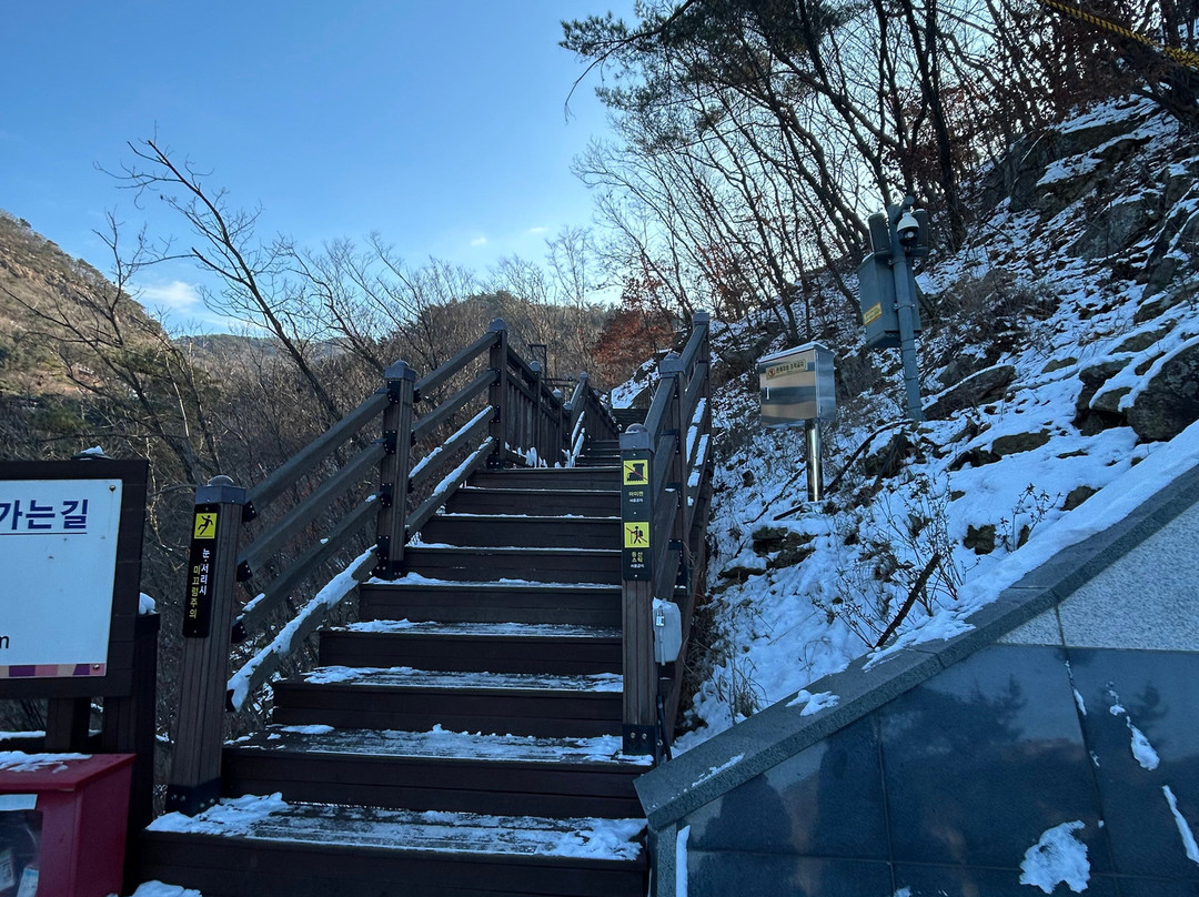 Seoul N Tour - Day Tours景点图片