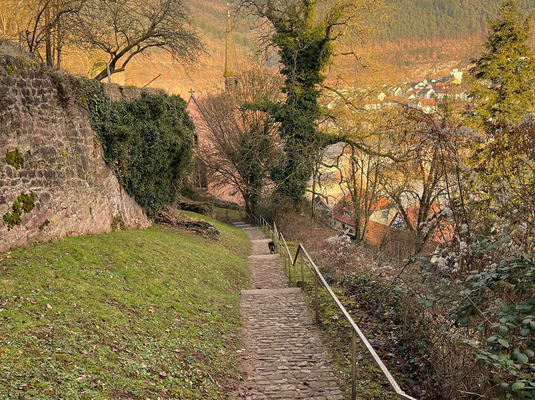 Schloss Hirschhorn景点图片