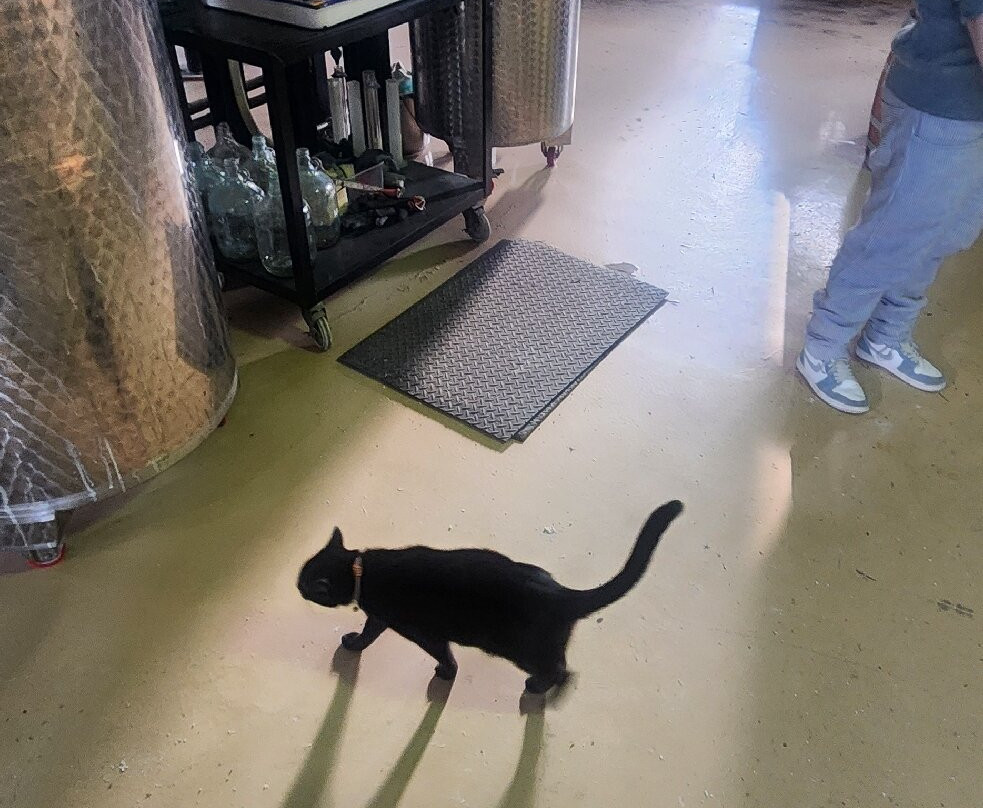 Kings County Distillery-布鲁克林必去景点