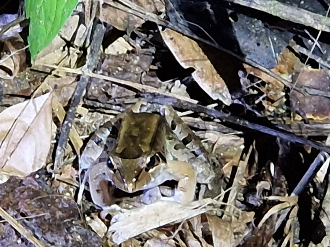 Suforyou-帕拉马里博必去景点