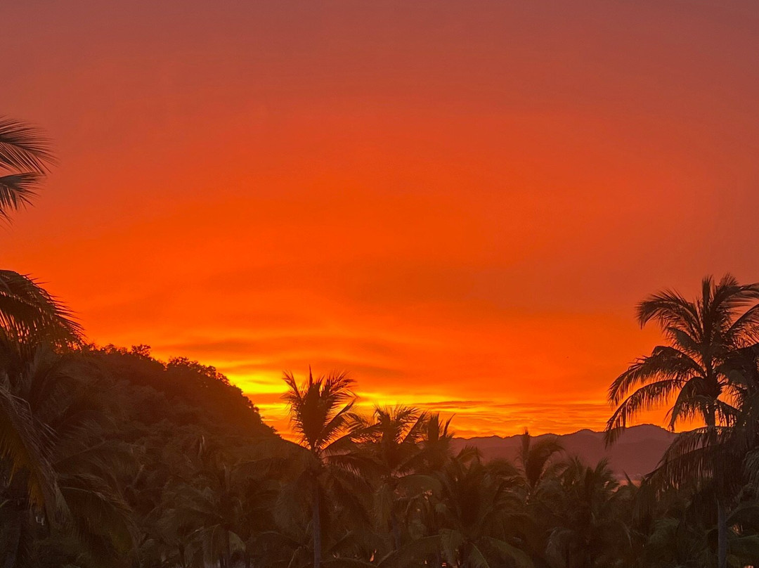 Grand Isla Navidad Resort主图