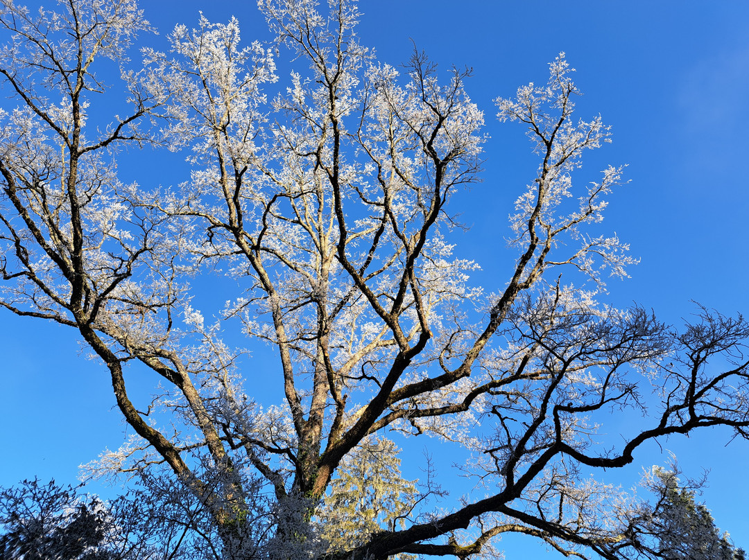 科迪纳特城堡酒店主图