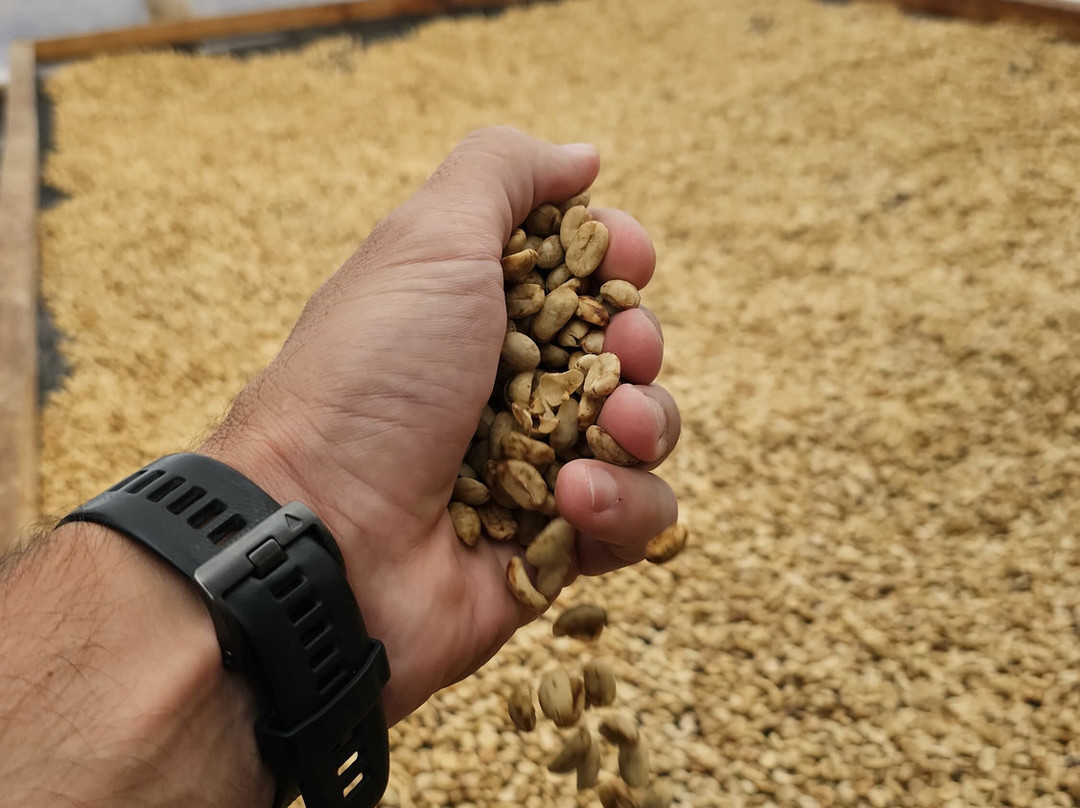 HotelTierraactiva主图