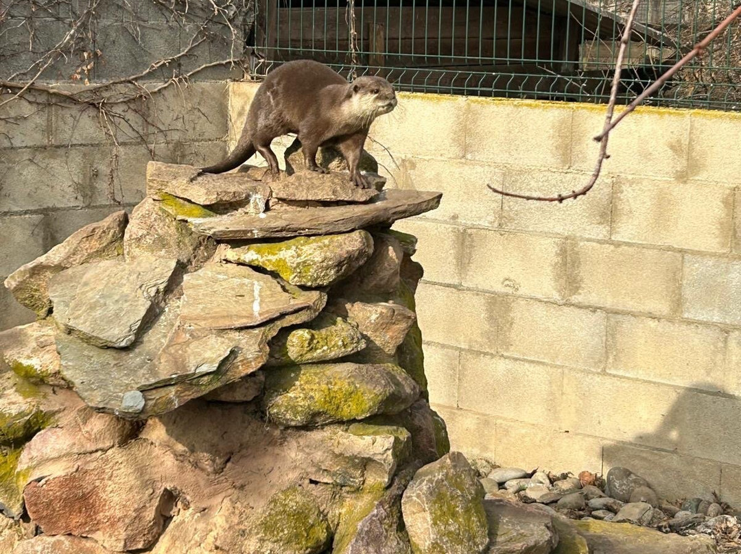 Núcleo Zoológico Iris-Barbastro必去景点