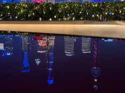 Gallery 4