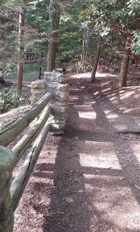 Coopers Rock State Forest景点图片