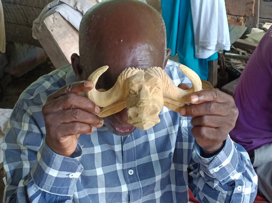 Wild Baobab Safaris Ltd2-蒙巴萨必去景点