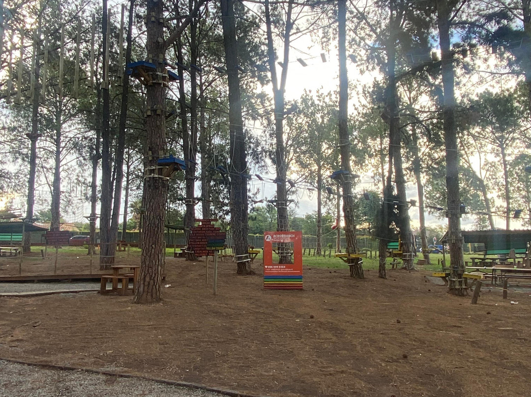Acrobranch Modderfontein景点图片