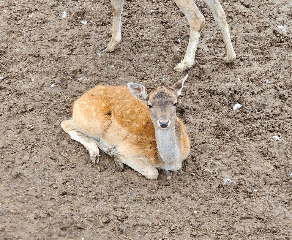 Hotel Vecsecity Superior主图