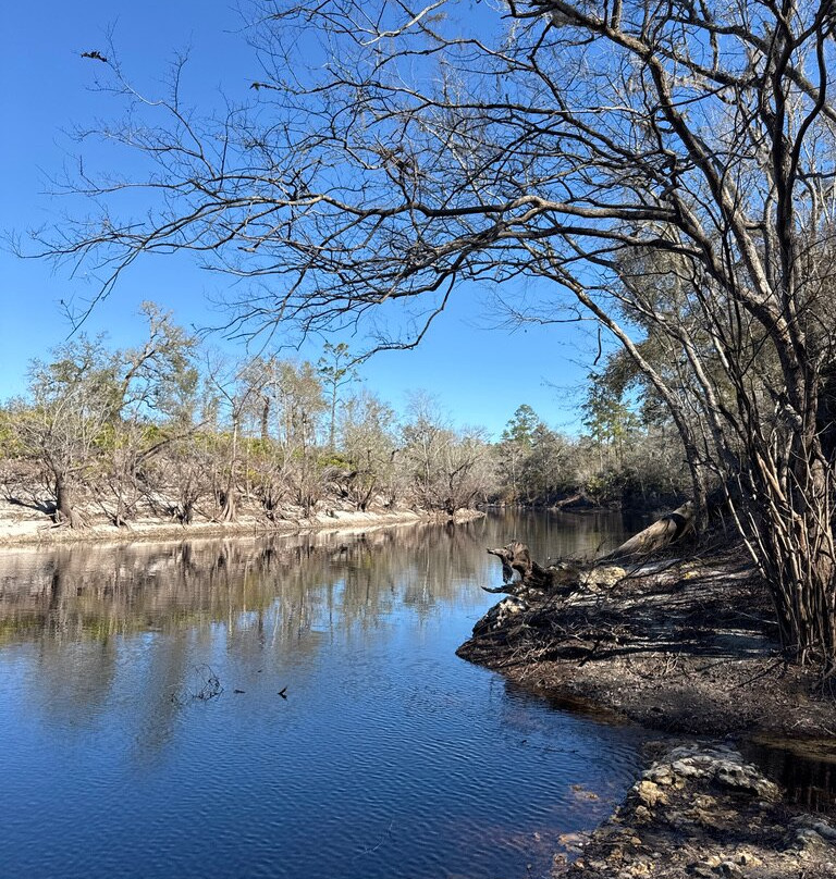 Stephen Foster Folk Culture Center State Park-White Springs必去景点