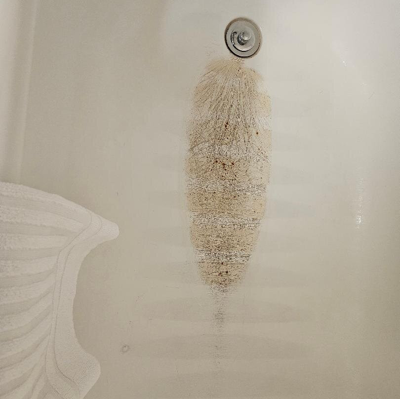 Comfort Suites Wytheville主图