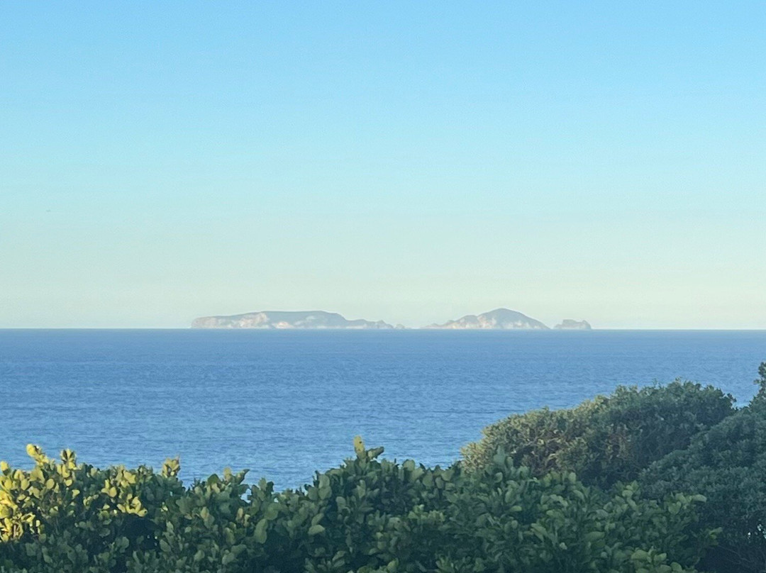 The Light House Lookout主图