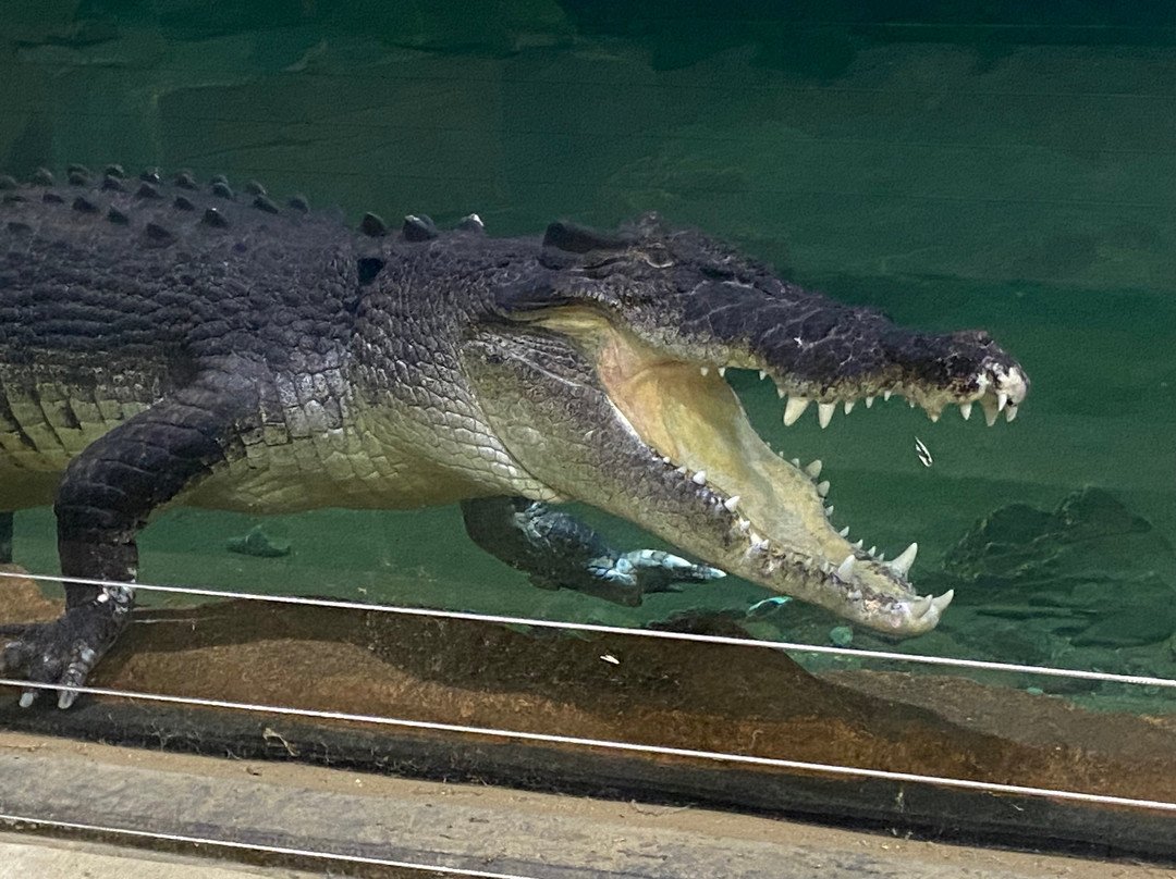 Ballarat Wildlife Park-巴拉瑞特必去景点