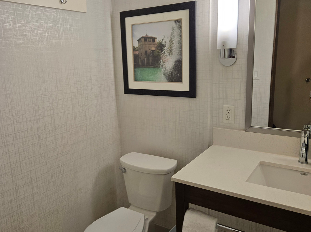 Four Points by Sheraton Coral Gables主图